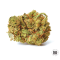 AMNESIA HAZE